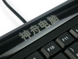 神舟唐朝F100C 經(jīng)典40G硬盤一體電腦的圖文回顧紀(jì)